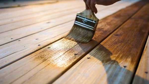 Методы борьбы с вредителями древесины