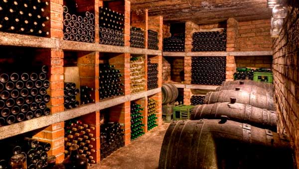 Как построить винный погреб выбор места и контроль температуры и влажности